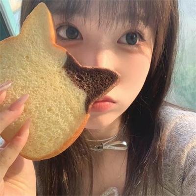 哈吉布基的森林冒险